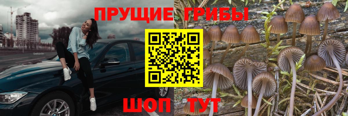 Галлюциногенные грибы мухоморы Кызыл